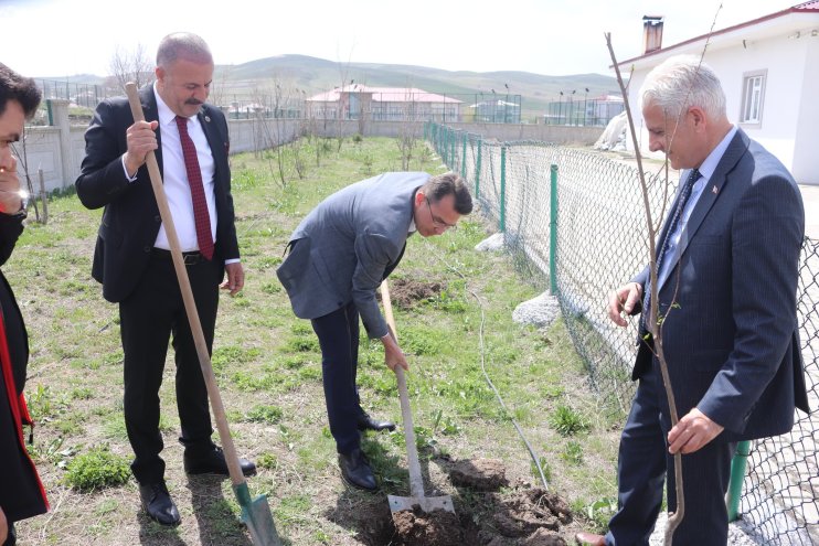 tutak fidan ağaç dikim1