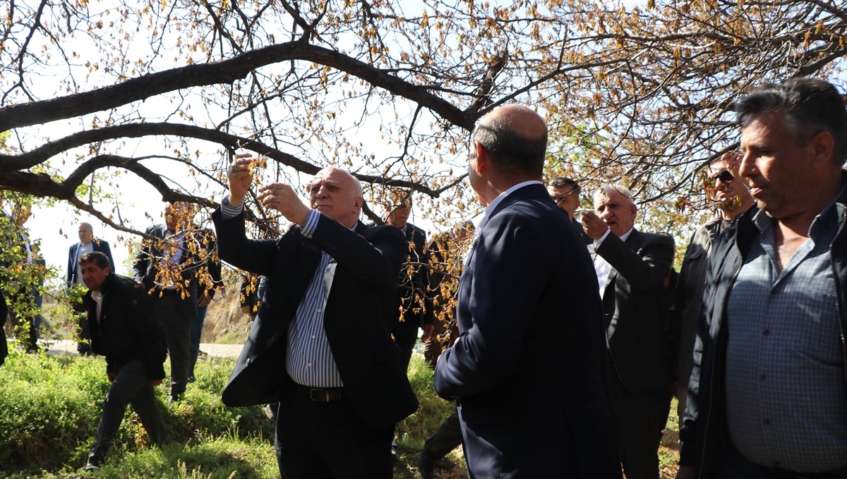 TZOB Genel Başkanı Bayraktar, Elazığ'da zirai dondan etkilenen bahçeleri inceledi