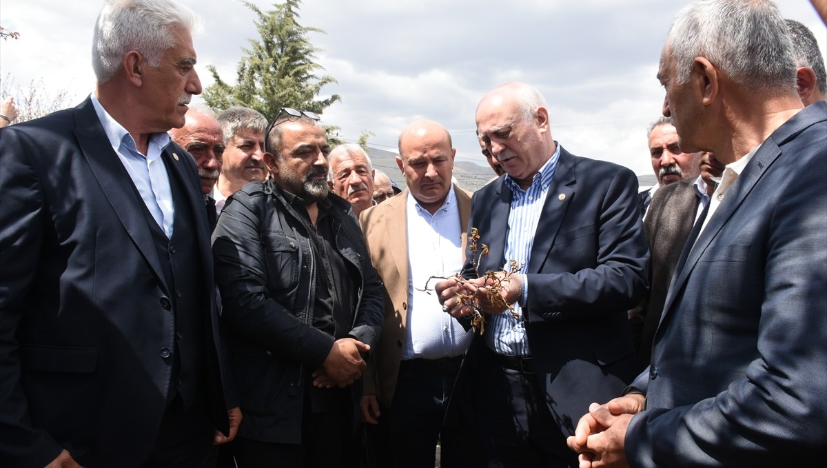 TZOB Genel Başkanı Bayraktar, Malatya'da zirai dondan etkilenen kayısı bahçesinde inceleme yaptı