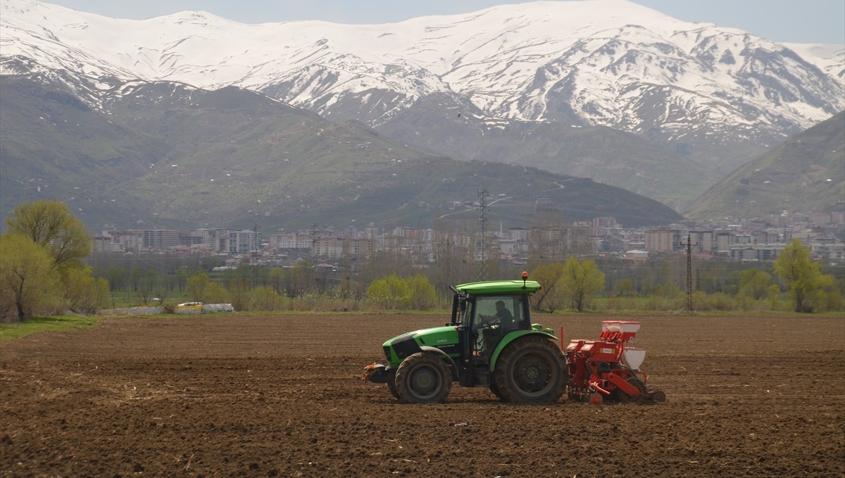 Verimli Muş Ovası'nda çiftçilerin mesaisi başladı
