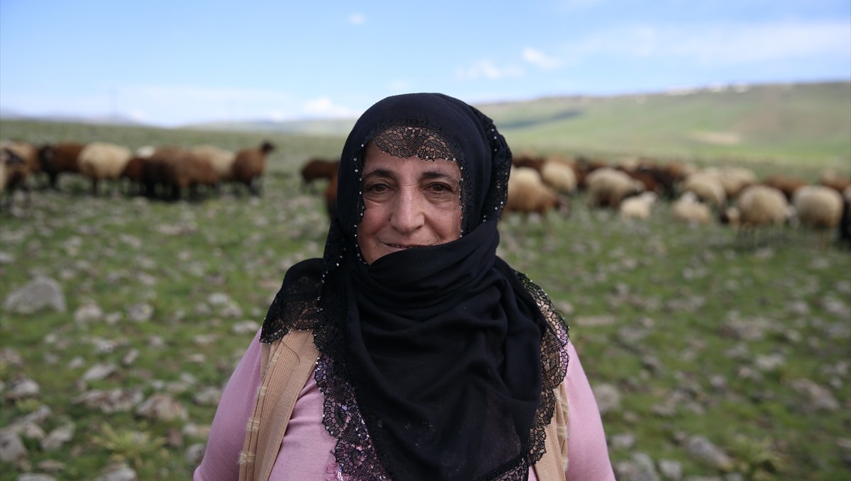 Annenin hayvancılık girişimi İstanbul'da tekstilde çalışan kızına köyün yolunu açtı