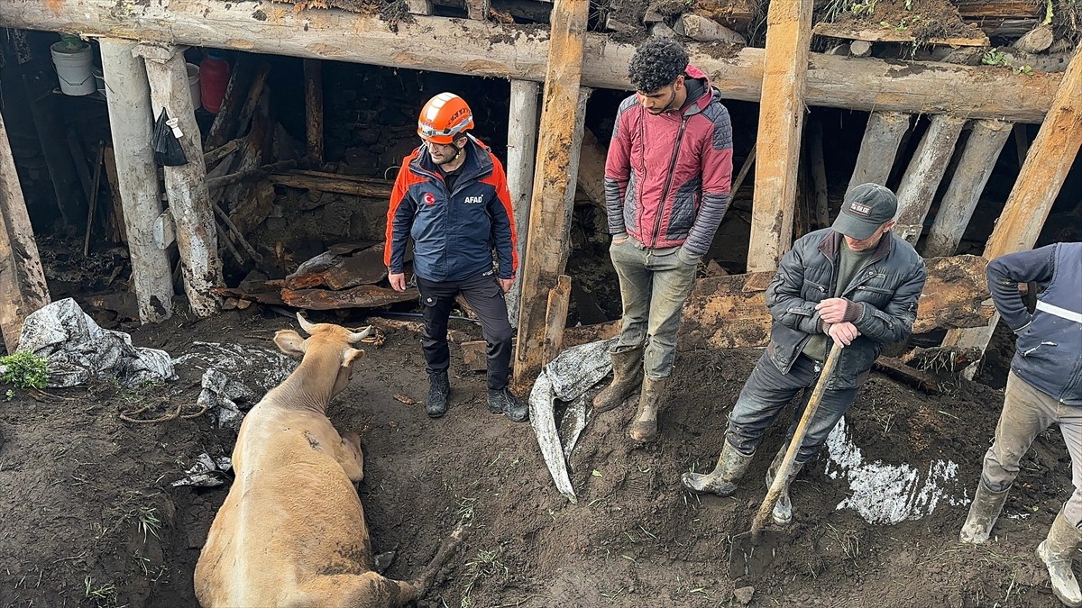 Ardahan'da sağanak nedeniyle ahırın çatısı çöktü