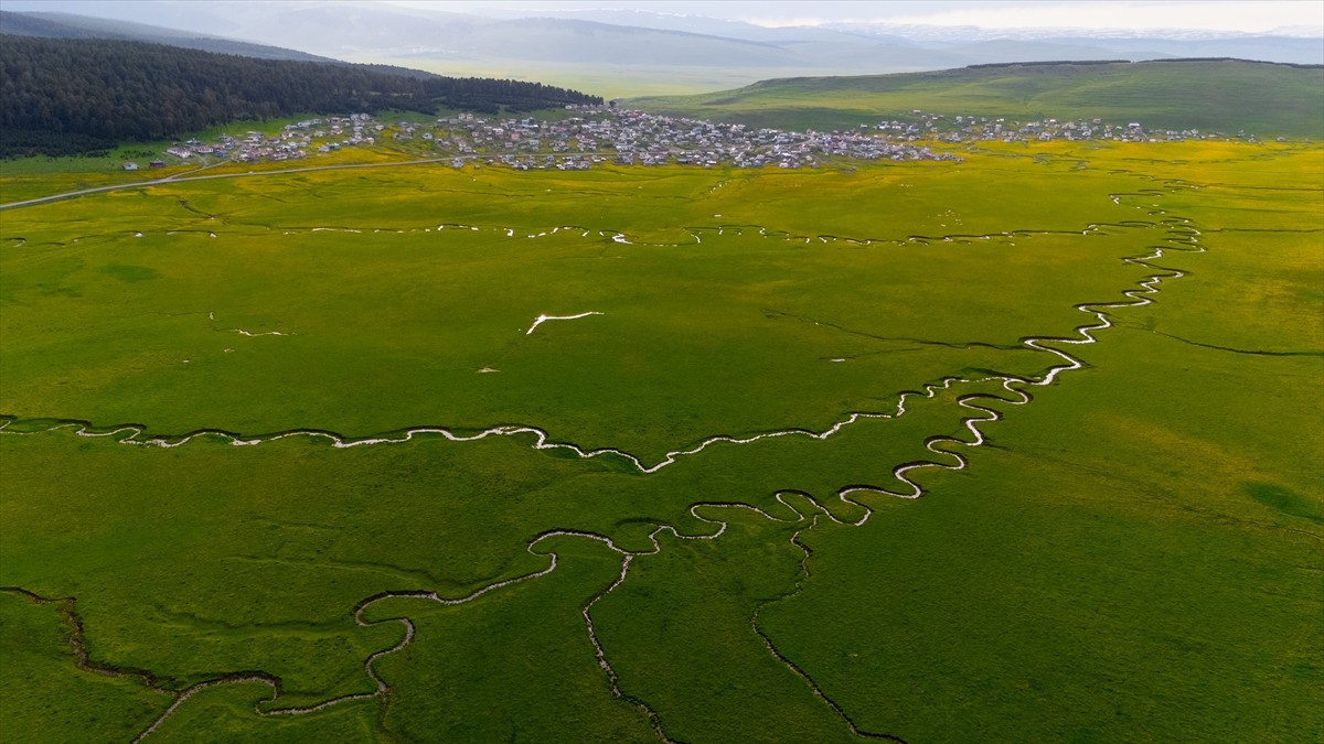 Ardahan'daki mendereslerde ilkbahar güzelliği