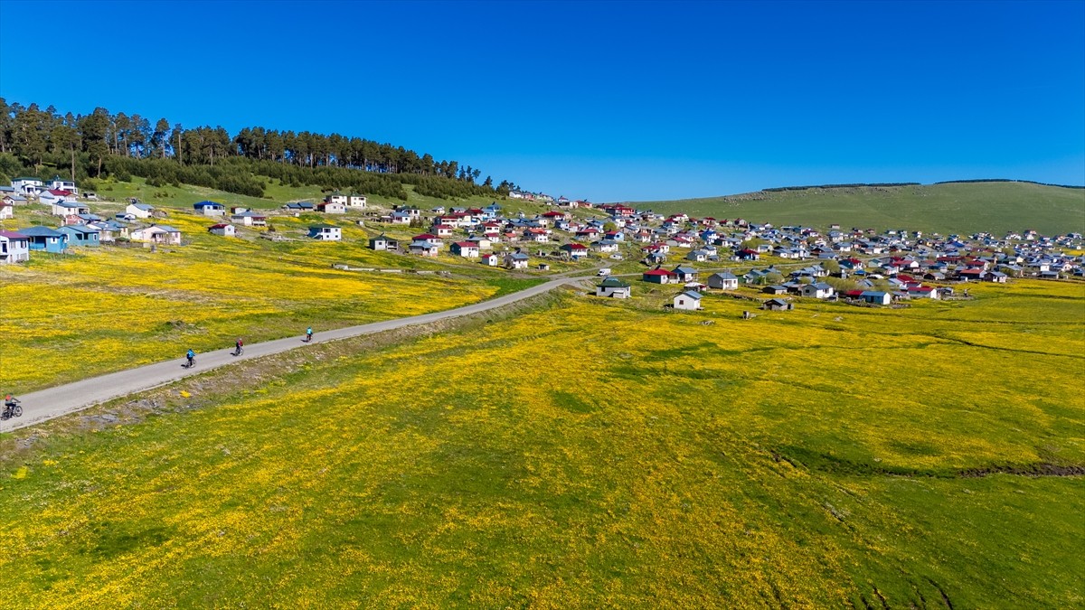 Ardahan Göle'de çiçeklerle kaplı ovada bisiklet etkinliği düzenlendi