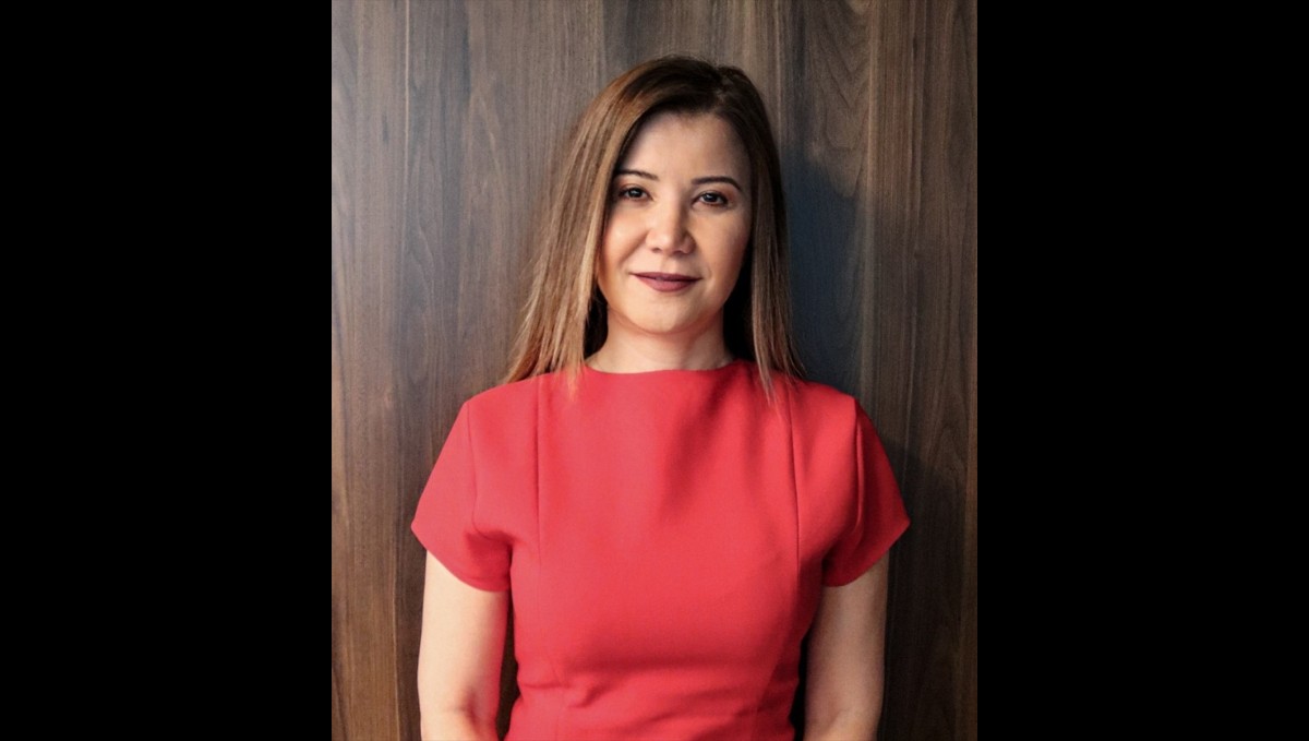 Bacacı Yatırım Holding, Helvacızade Grubu