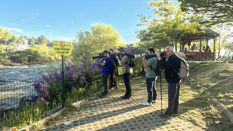 90 göçüne kişi, kefalinin Erciş yaklaşık etti Balık Bendi