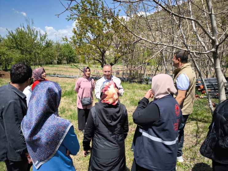 dondan zirai bahçelerini Erzincan