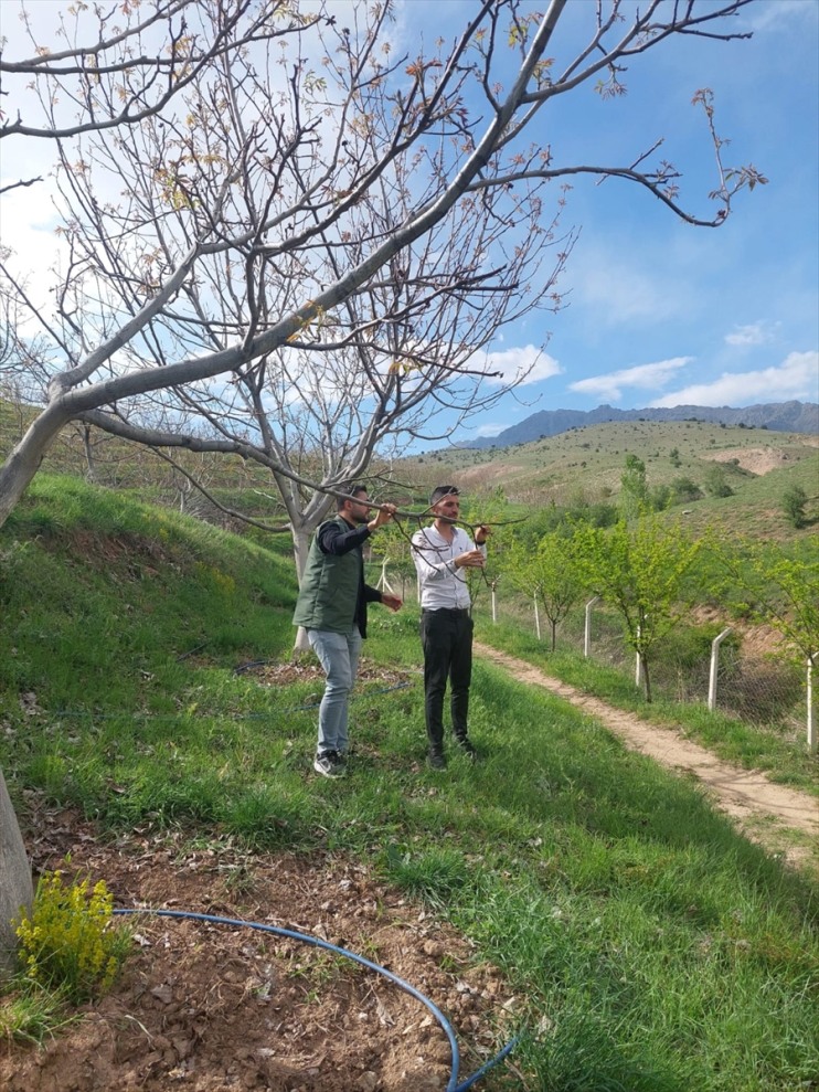 meyve ekipler, zirai Erzincan