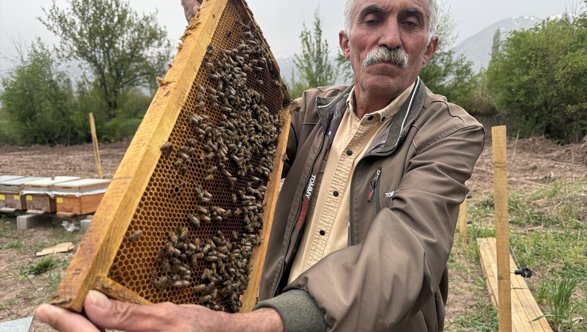Erzincan'da soğuk geçen nisan ve geciken bahar arıcıları endişelendiriyor