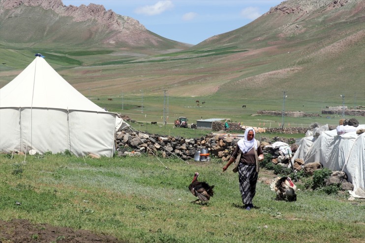 hayvancılık başladı Tendürek zorlu mesaisi Dağı Göçerlerin eteklerinde 11