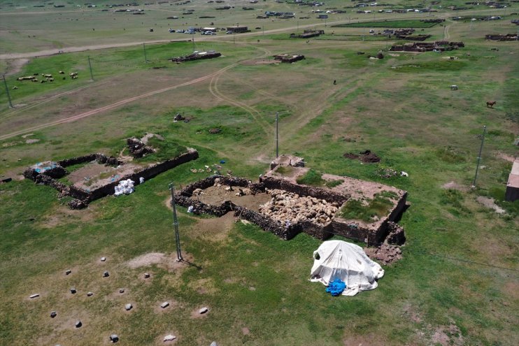 Göçerlerin Tendürek Dağı eteklerinde zorlu hayvancılık mesaisi başladı4