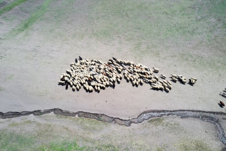 eteklerinde mesaisi hayvancılık zorlu Göçerlerin başladı Dağı Tendürek 6
