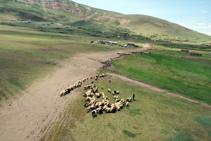 başladı hayvancılık Dağı zorlu mesaisi eteklerinde Tendürek Göçerlerin 9