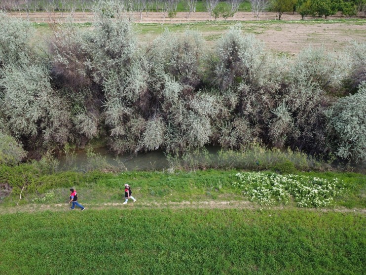 Hazar Gölü'nde siraz balığı göç yolculuğunda sıkı tedbirlerle korunuyor