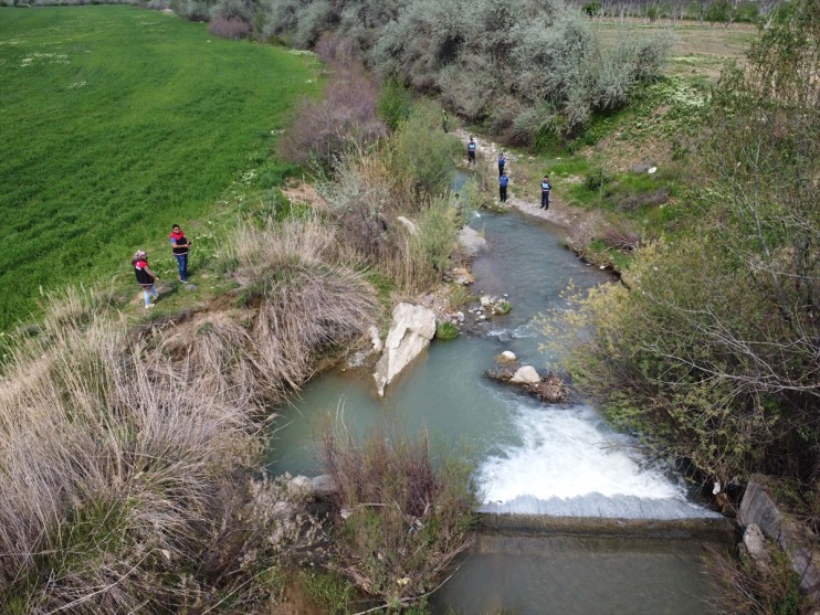 korunuyor balığı sıkı Gölü