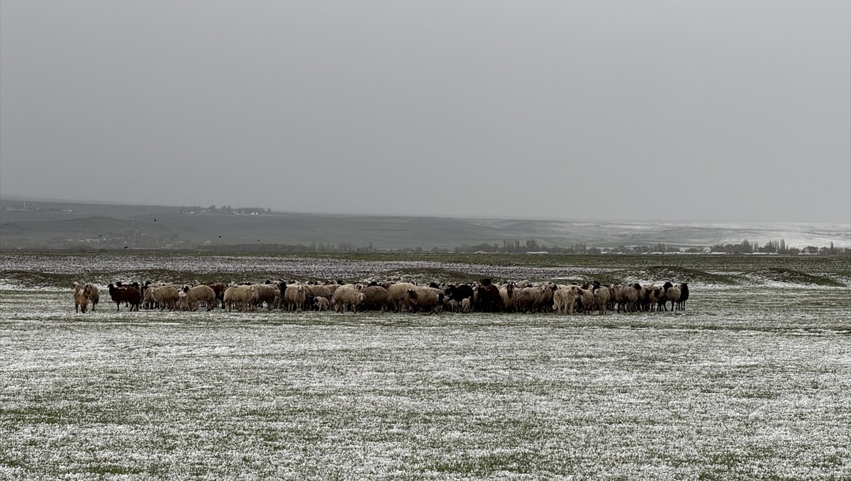 Kars'ta dolu ve sağanak etkili oldu