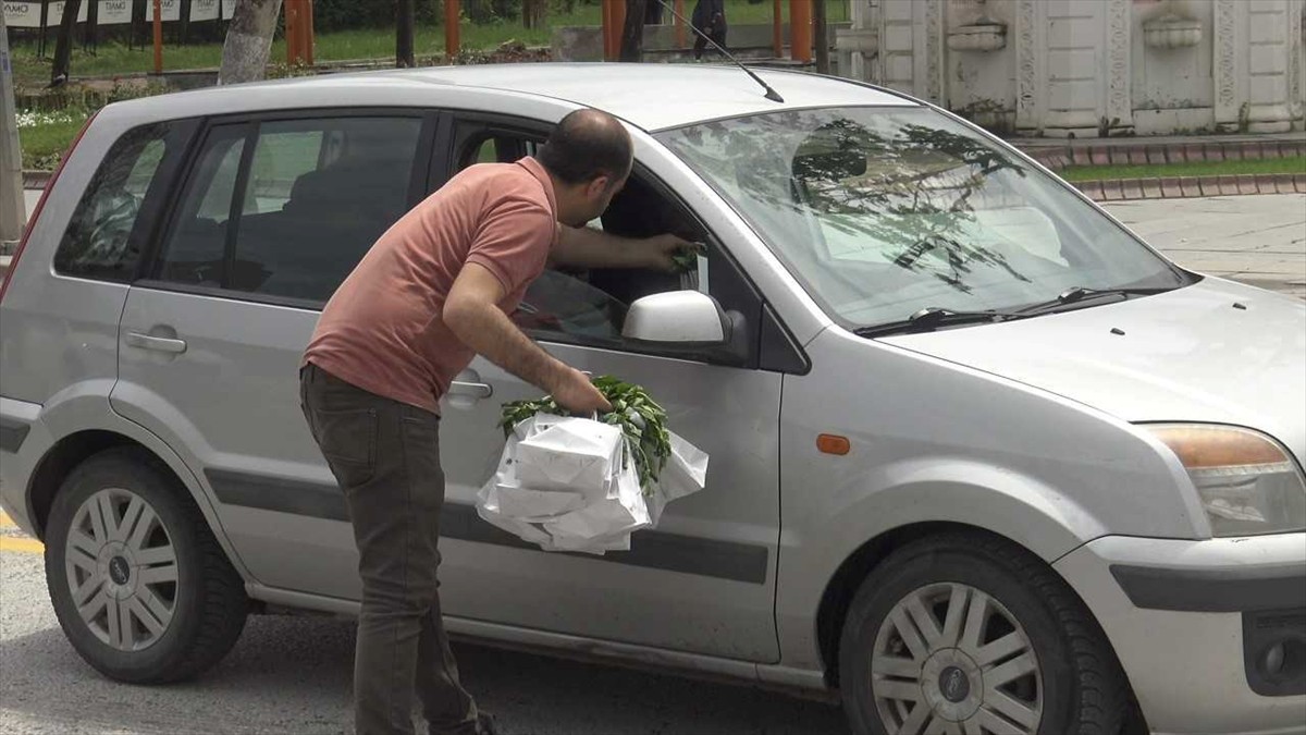 Malatya’da katı atık tesisinde üretilen fideler vatandaşlara dağıtıldı