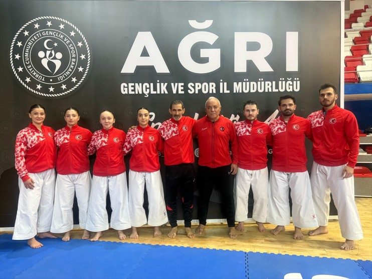 sayıyor Şampiyonası