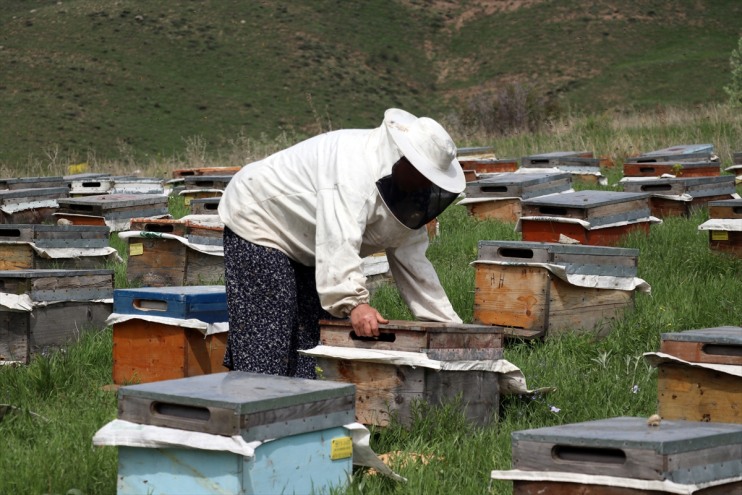 Ordulu üç üretiyor omuz Ağrı