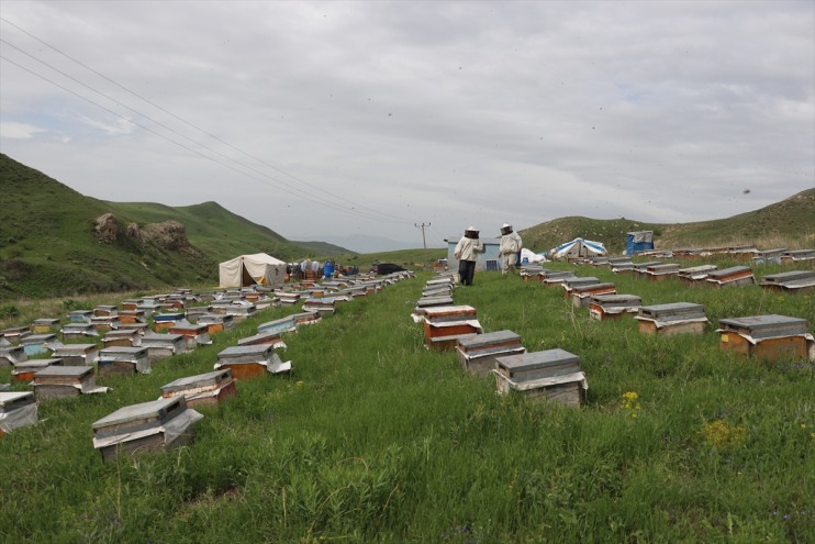 üretiyor bal kardeş Ağrı