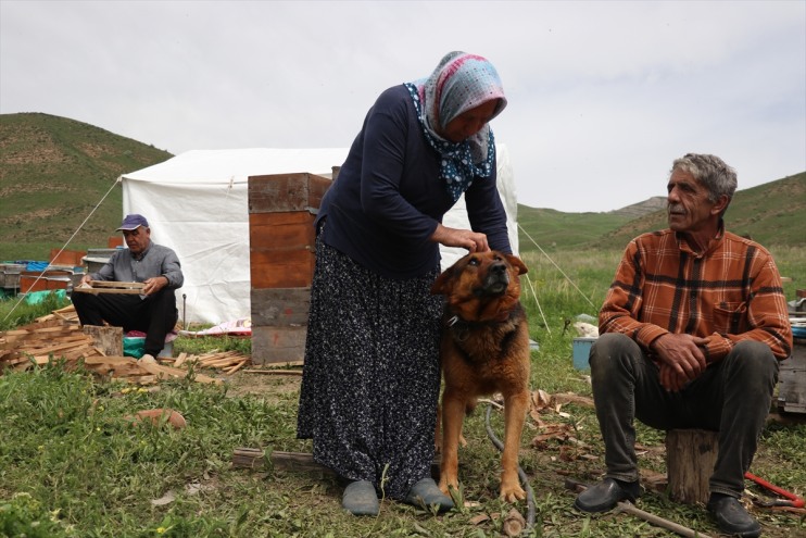 omuz omuza üç üretiyor dağlarında Ağrı