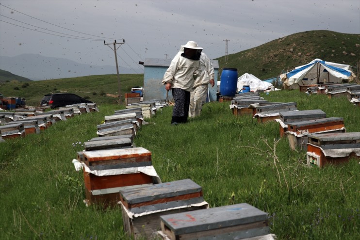 omuz bal üç üretiyor Ağrı