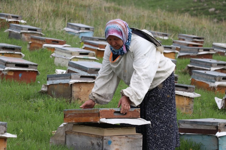 omuza üç omuz kardeş Ağrı