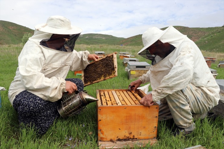 bal üç kardeş üretiyor dağlarında Ordulu omuz Ağrı