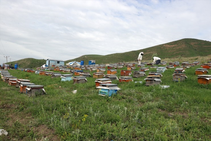 üç dağlarında bal omuz omuza kardeş Ağrı
