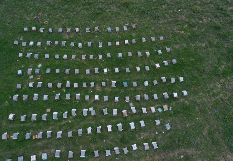 üretiyor omuza Ağrı