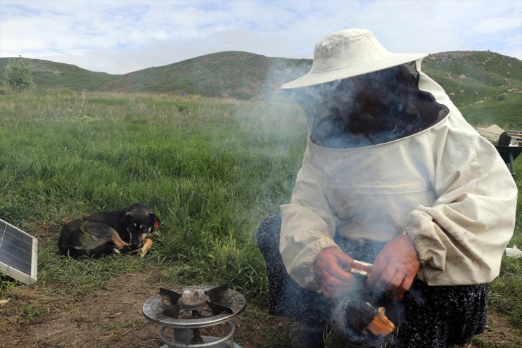 bal omuza üç dağlarında üretiyor kardeş Ordulu omuz Ağrı