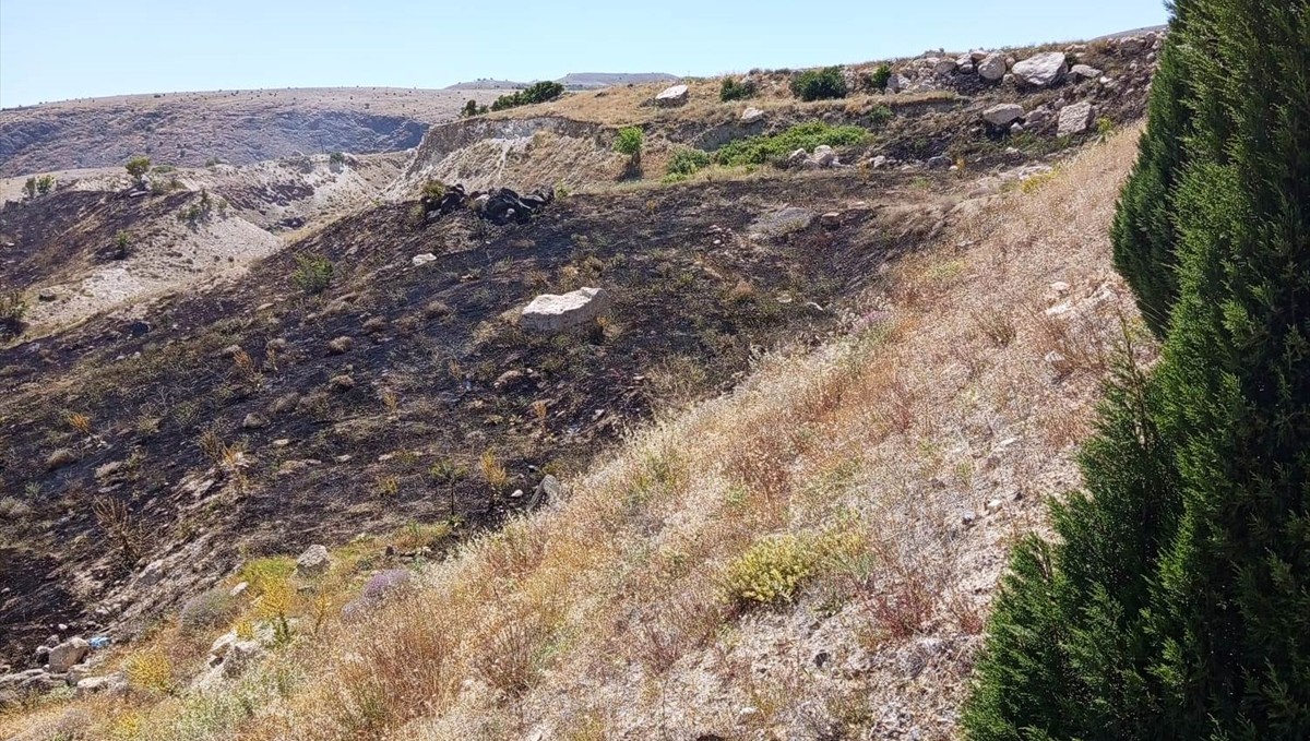 Ağın'da otluk alanda çıkan yangın söndürüldü