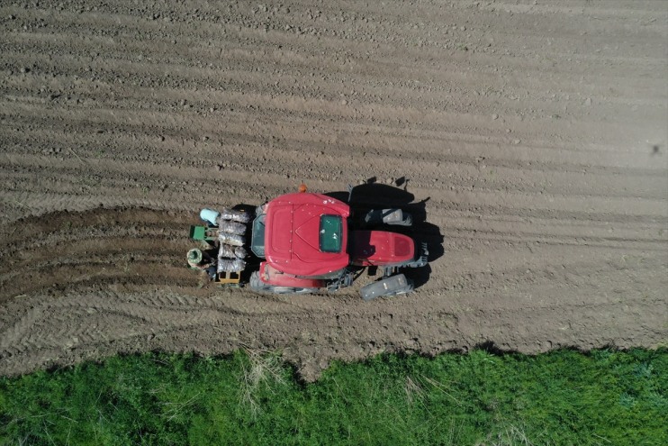 patates katlayan girişimci mor çiftçilere 5