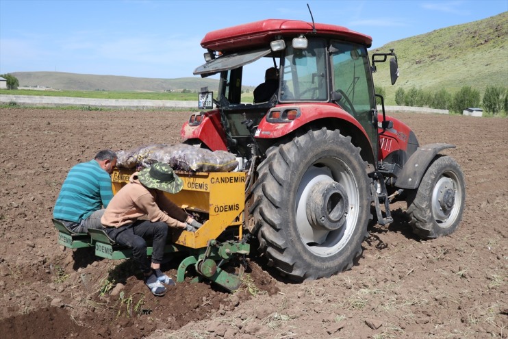 patates katlayan Ağrı