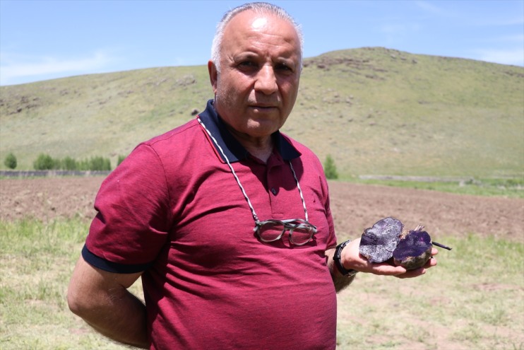 çiftçilere girişimci mor 5