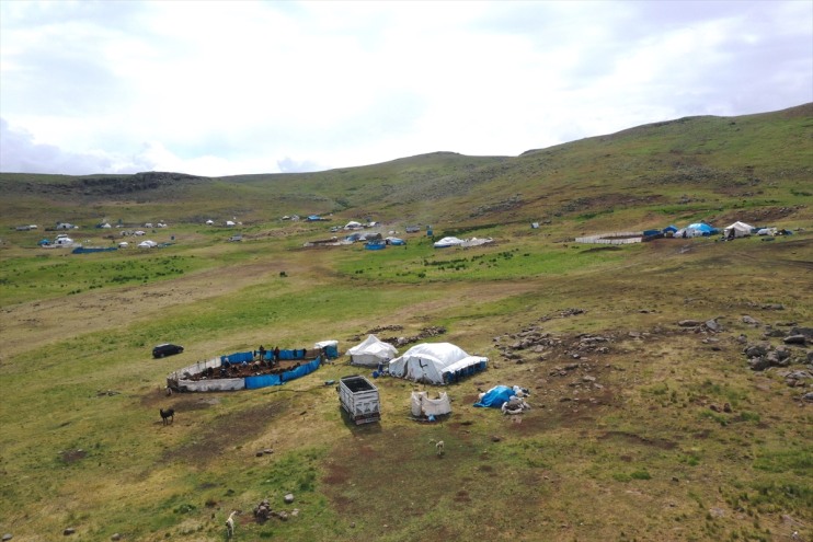binlerce birliğiyle yaylalarında kırkılıyor el Ağrı küçükbaş 2