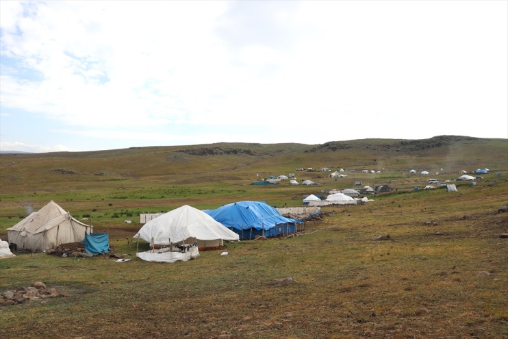 yaylalarında binlerce kırkılıyor birliğiyle Ağrı el küçükbaş 4