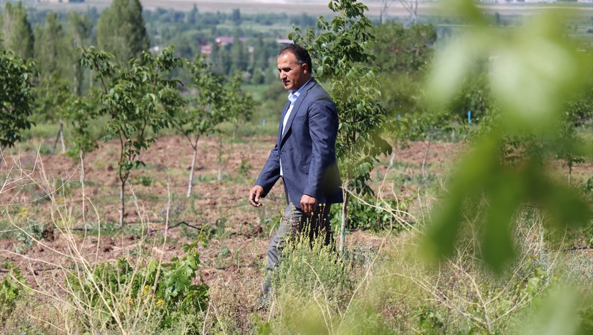 Atıl araziyi tarıma kazandıran akademisyen güneş enerjisiyle meyve ağaçları yetiştiriyor