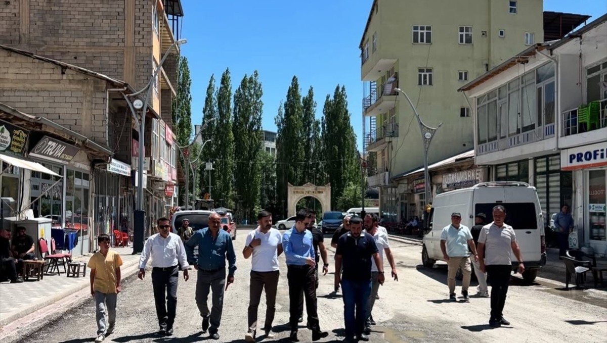 Bahçesaray Kaymakamı ve Belediye Başkan Vekili Arslanargun, ilçede yürütülen çalışmaları denetledi