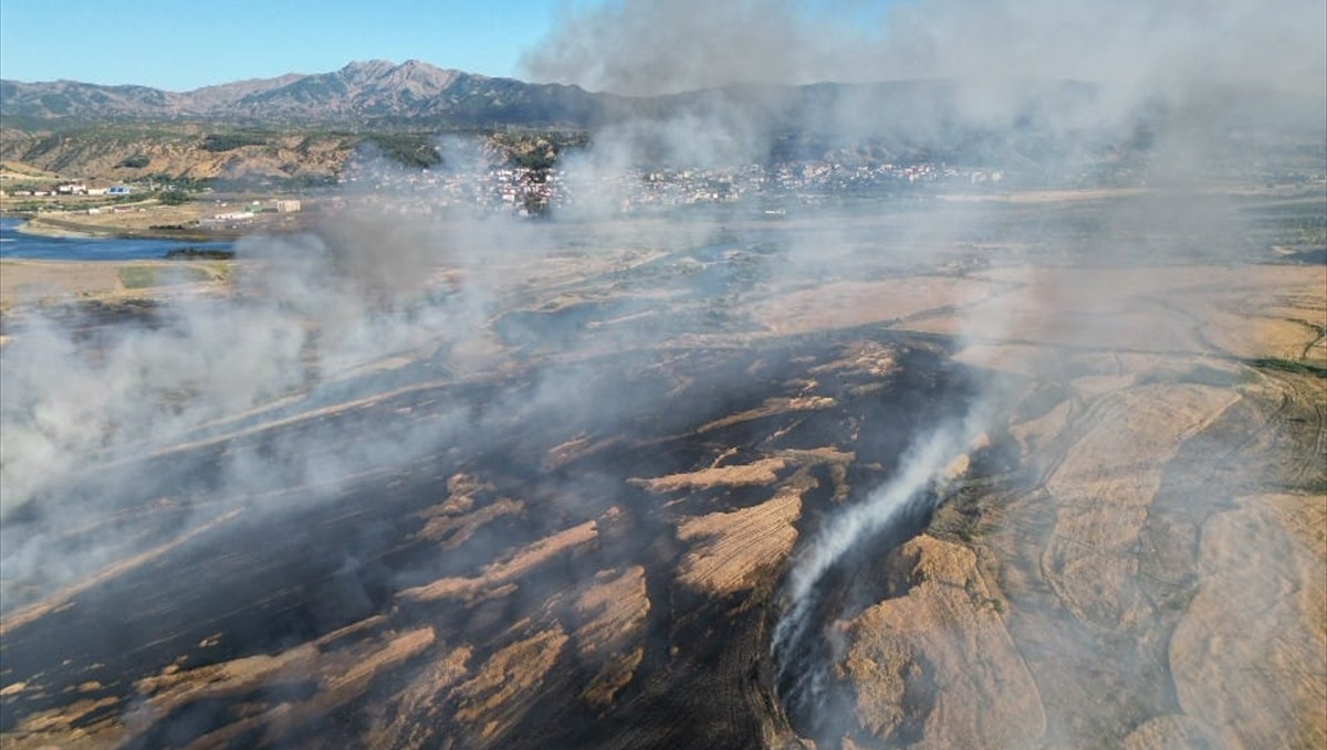 Bingöl'de 260 dönüm ekili alan yandı