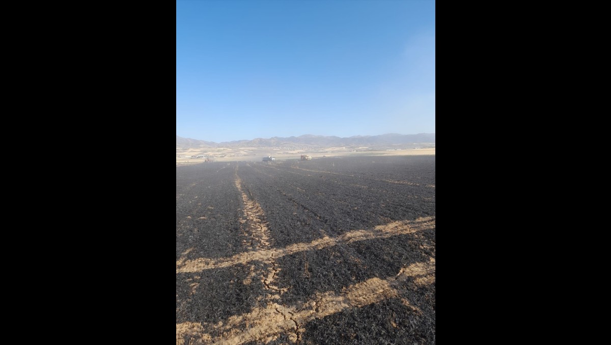 Elazığ'da 50 dönüm buğday ve arpa ekili alan yandı