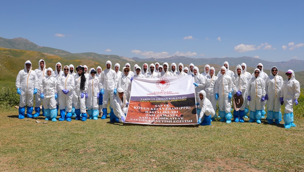 Hakkari'de şap hastalığı ile koyun ve keçi vebasına yönelik saha tatbikatı gerçekleştirildi