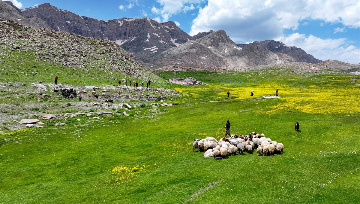 Havanın ısınmasıyla Van'ın yaylalarındaki hareketlilik arttı