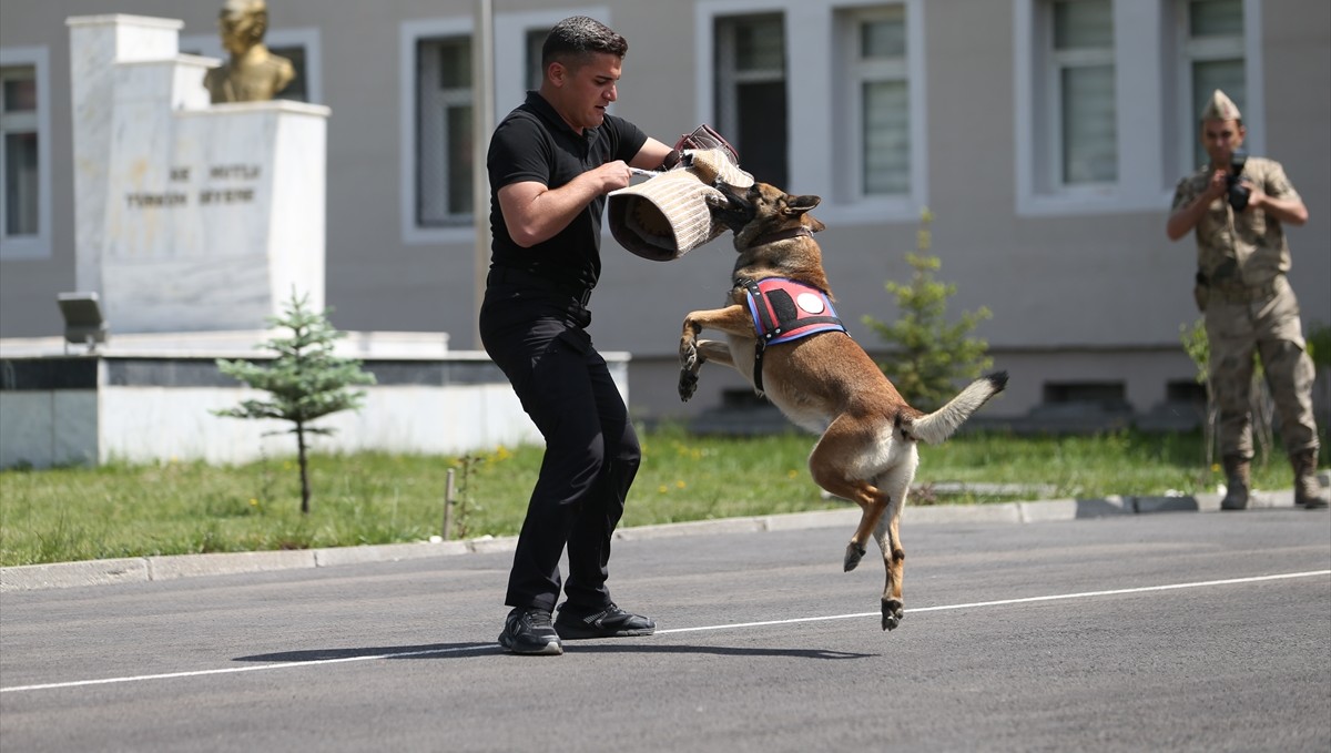 Jandarma Teşkilatının 186. kuruluş yıl dönümü Doğu Anadolu'da 4 ilde kutlandı