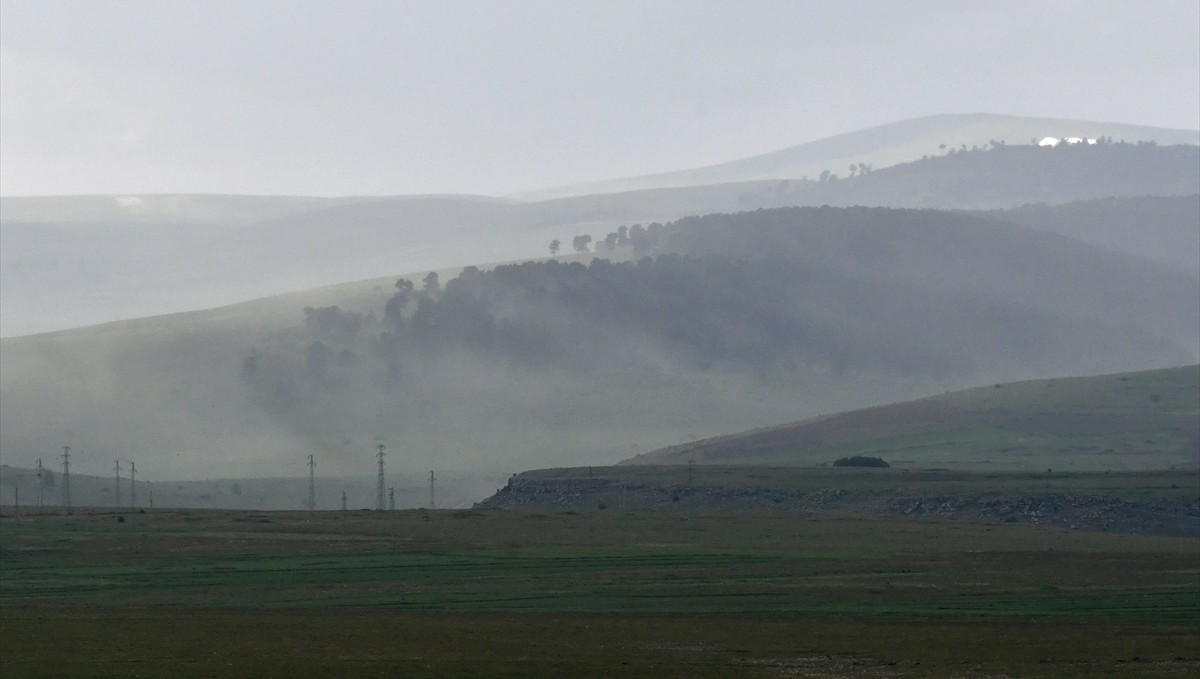Kars'ta polen yoğunluğu oluştu