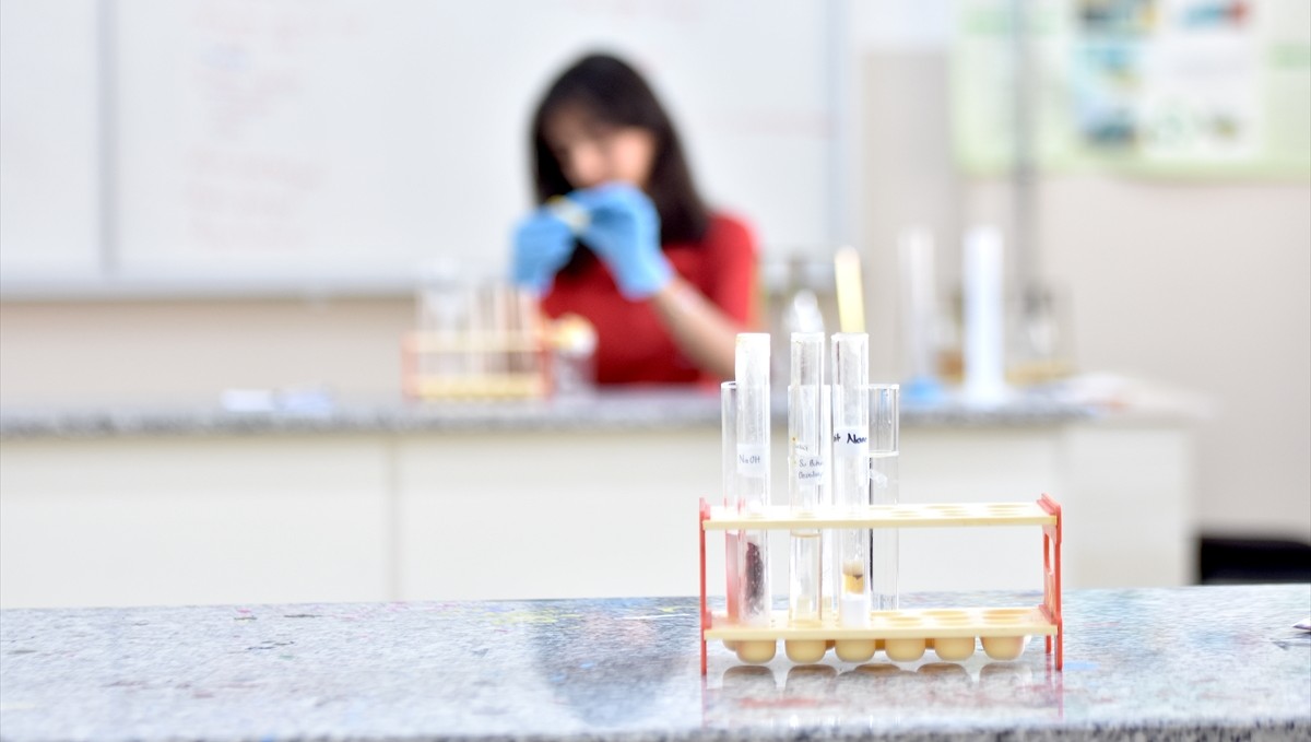 Lise öğrencileri doğada kısa sürede çözülebilen "çevre dostu" gıda ambalajı üretti