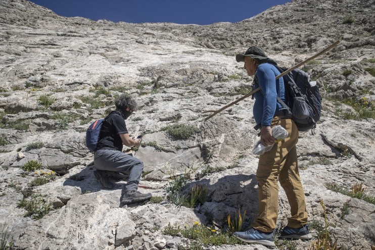 türlerin yeni sürüyor izini Tunceli