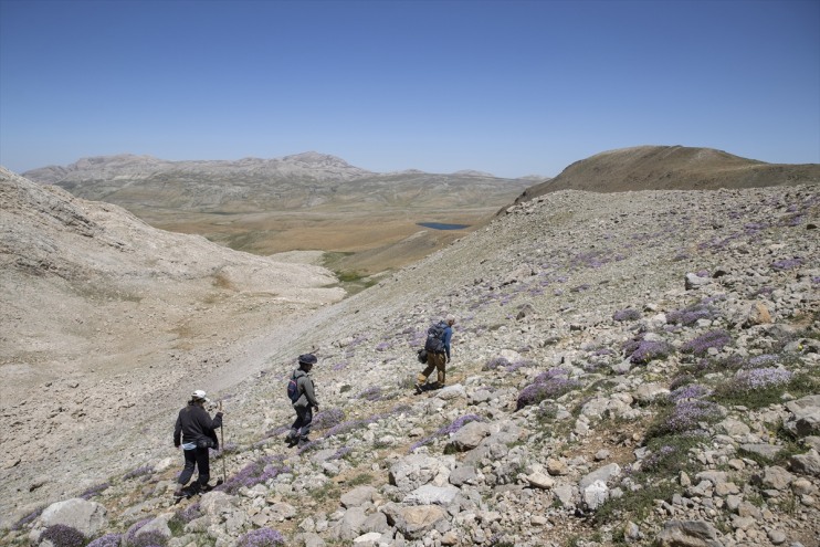 sürüyor türlerin zirvelerinde bin Tunceli