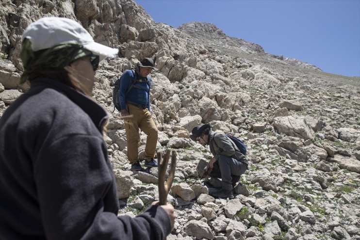 Bitki 3 bilimcileri türlerin bin Tunceli