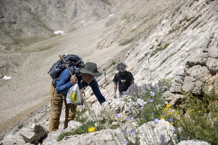 zirvelerinde Tunceli